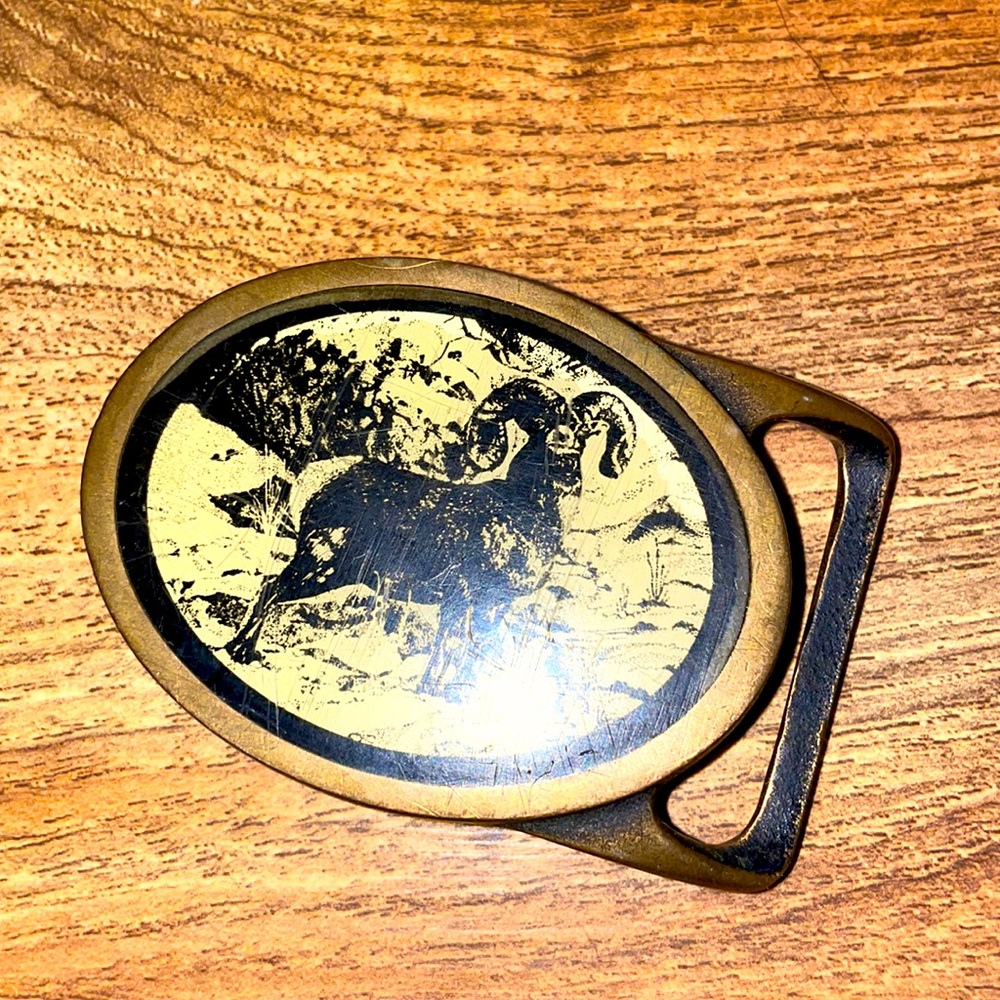 Tech Ether Ram Belt Buckle